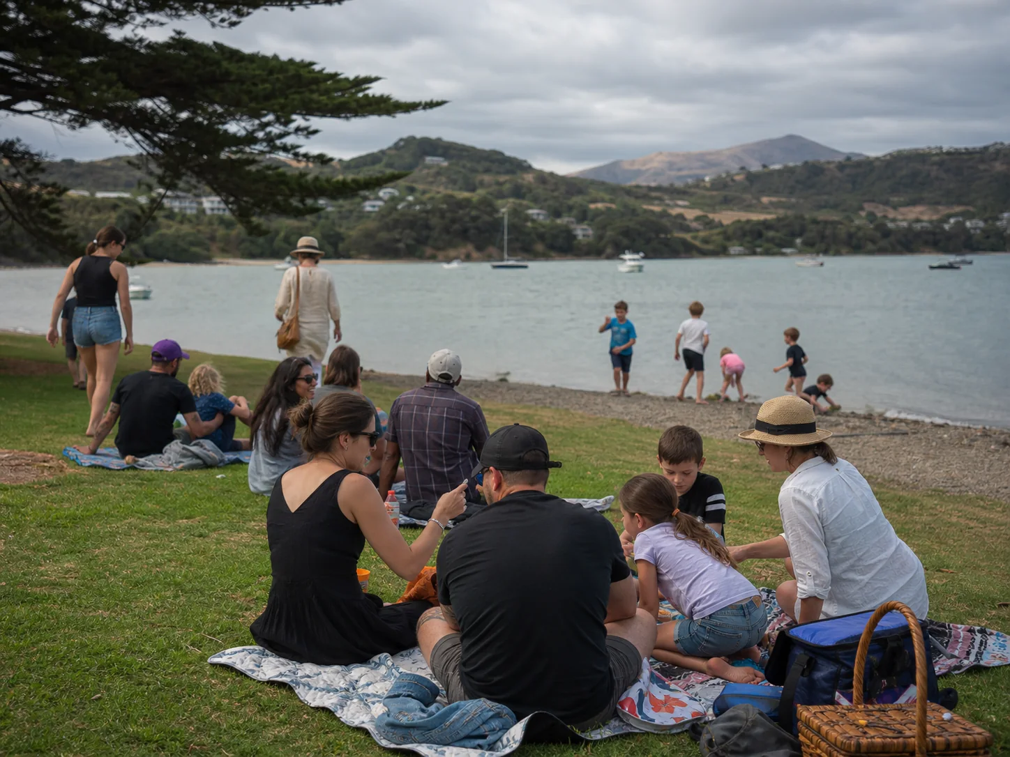 NZ Regional Anniversary Days: Which Calendar Should You Use?